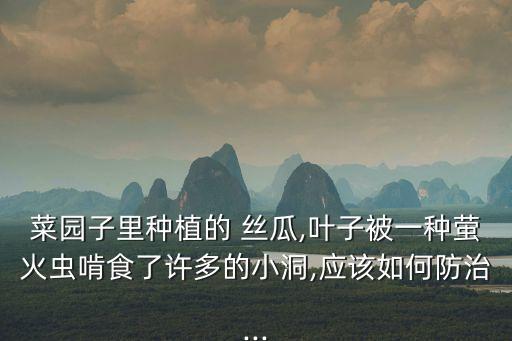 絲瓜黑星病用什么農(nóng)藥打