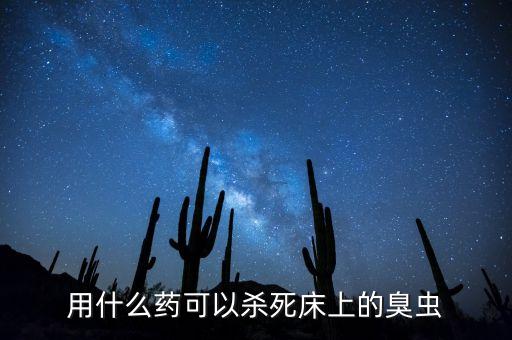 用什么藥可以殺死床上的臭蟲