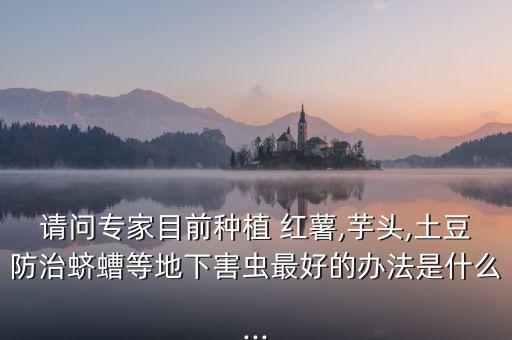 請問專家目前種植 紅薯,芋頭,土豆防治蠐螬等地下害蟲最好的辦法是什么...