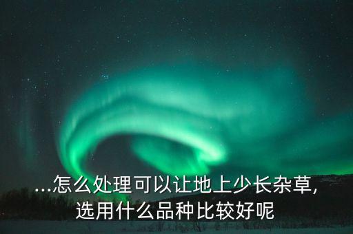 ...怎么處理可以讓地上少長雜草,選用什么品種比較好呢