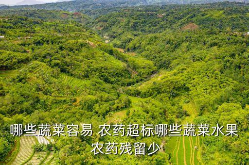 夏季什么菜含農藥多,什么菜不打農藥不用激素