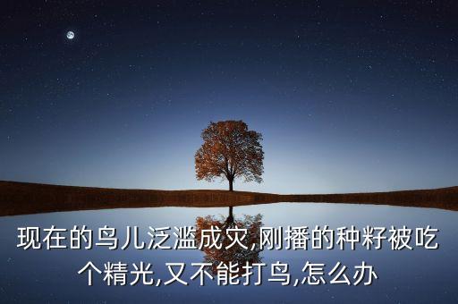 種子拌什么農藥防鳥,拌花生種子的農藥有哪些