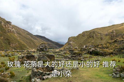玫瑰 花茶是大的好還是小的好 推薦是小朵
