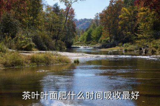 茶葉葉面肥什么時(shí)間吸收最好