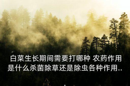 種白菜用什么農藥最好使,白菜去農藥的最好辦法