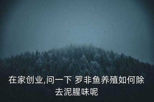 羅非魚有農(nóng)藥味什么原因,釣羅非魚用什么味型