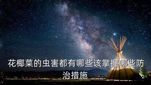  花椰菜的蟲害都有哪些該掌握哪些防治措施