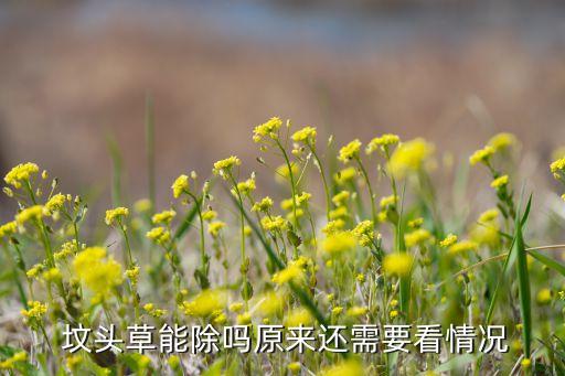 墳頭草能除嗎原來還需要看情況