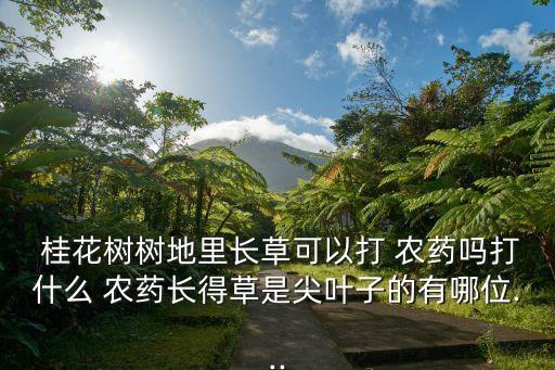 什么農藥可以殺死桂花樹,桂花樹能打什么農藥