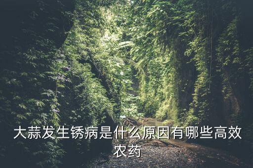  大蒜發(fā)生銹病是什么原因有哪些高效 農(nóng)藥