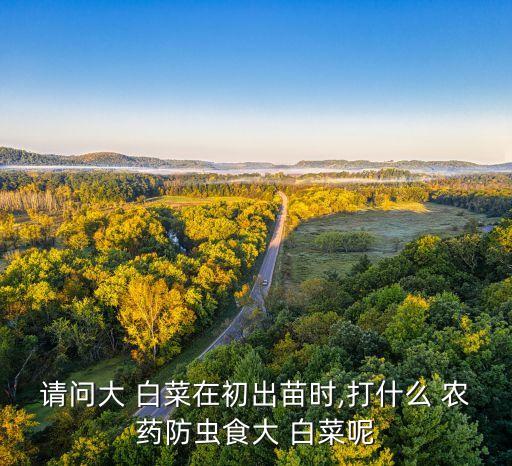 種植白菜打什么農(nóng)藥好些,白菜殺蟲用什么農(nóng)藥