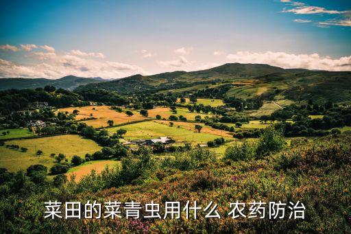 青椒蟲子用什么農藥,青椒里的蟲子叫什么