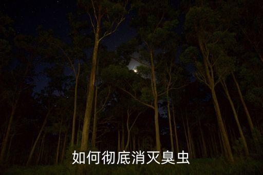 如何徹底消滅臭蟲