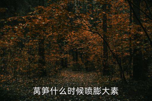 萵筍什么時候噴膨大素