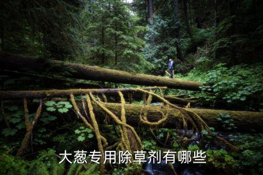 栽大蔥都用什么農(nóng)藥水沖,大蔥打什么農(nóng)藥綠油油