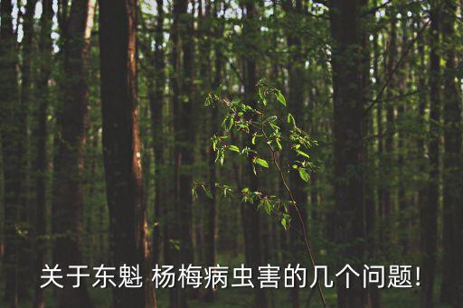 東槐楊梅用什么農藥好,東魁楊梅