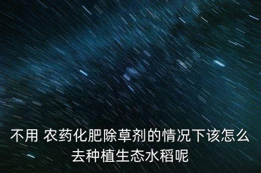 不用 農藥化肥除草劑的情況下該怎么去種植生態水稻呢