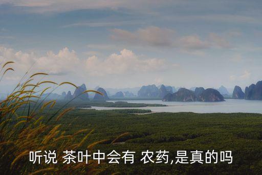 聽說 茶葉中會有 農(nóng)藥,是真的嗎