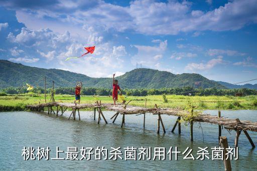  桃樹上最好的殺菌劑用什么殺菌劑