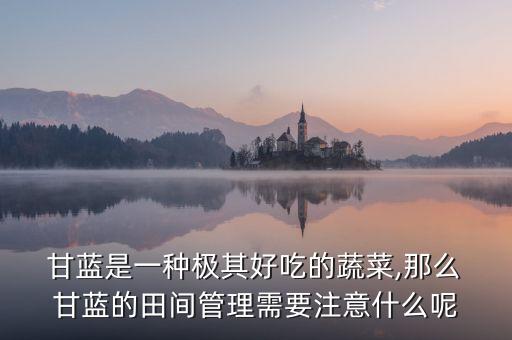 甘藍是一種極其好吃的蔬菜,那么 甘藍的田間管理需要注意什么呢