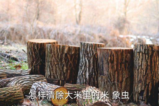 怎樣清除大米里的米 象蟲