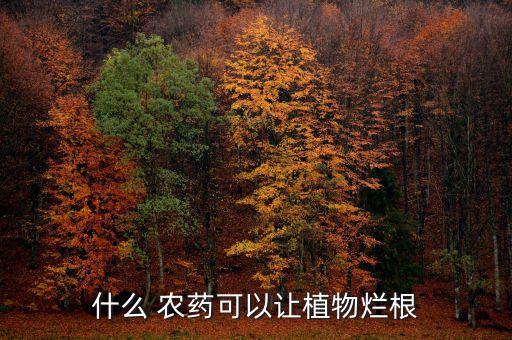 樹根不要了用什么農藥