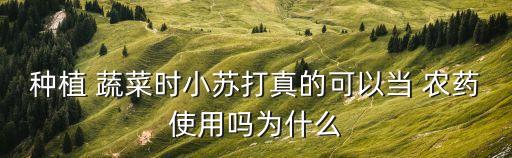 種植 蔬菜時(shí)小蘇打真的可以當(dāng) 農(nóng)藥使用嗎為什么