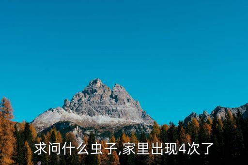 臭屁蟲用什么農藥好,龍眼樹有臭屁蟲用什么農藥