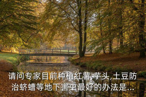 請問專家目前種植紅薯,芋頭,土豆防治蠐螬等地下害蟲最好的辦法是...