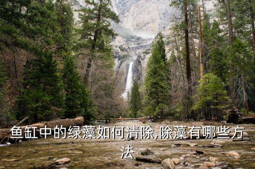 什么農(nóng)藥殺藻類最好,殺蚊子用什么農(nóng)藥最好