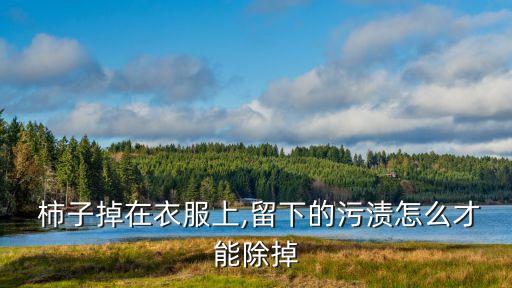  柿子掉在衣服上,留下的污漬怎么才能除掉