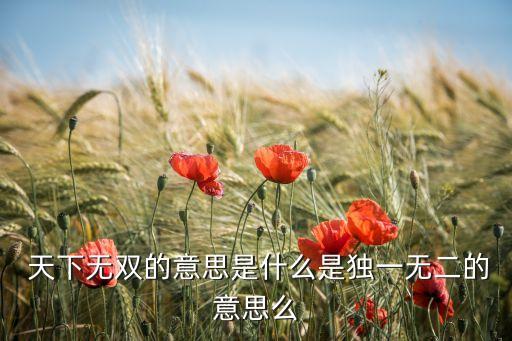  天下無雙的意思是什么是獨一無二的意思么