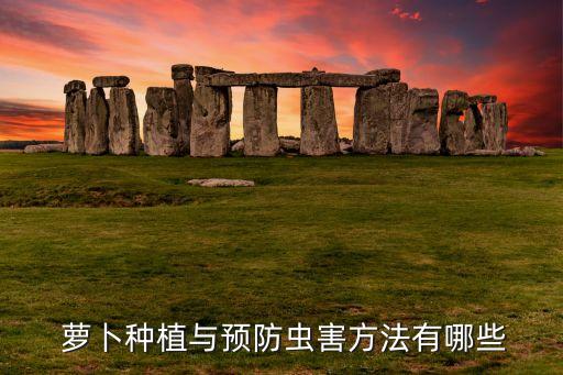 蘿卜種植與預(yù)防蟲害方法有哪些