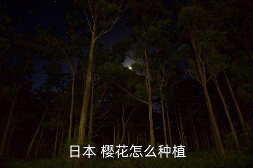 日本 櫻花怎么種植