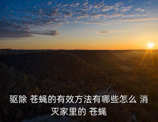 驅除 蒼蠅的有效方法有哪些怎么 消滅家里的 蒼蠅