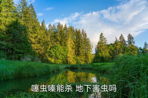 噻蟲嗪能殺 地下害蟲嗎