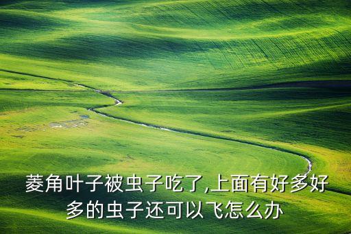 菱角撒什么農藥殺蟲