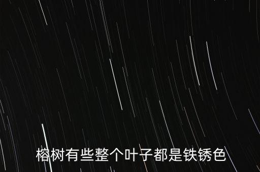 什么農藥可以殺死榕樹,什么除草劑能殺死榕樹