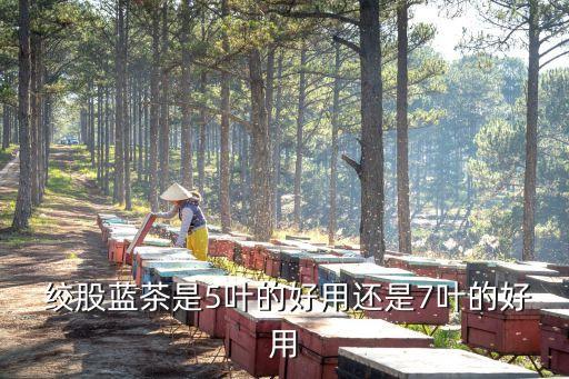 野生絞股藍用什么農藥,什么農藥能殺死絞股藍