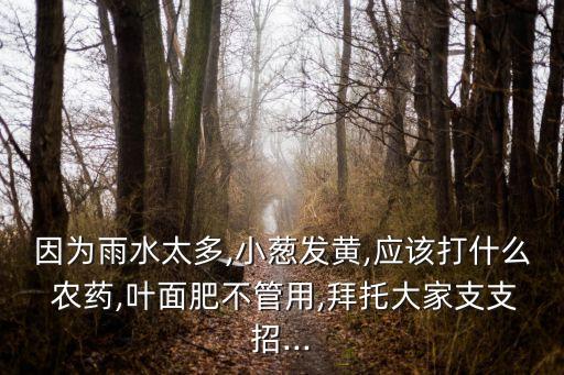 小蔥苗需要打什么農(nóng)藥好,小蔥需要什么肥