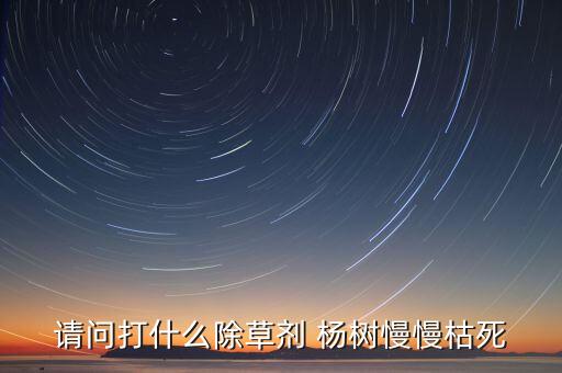 請問打什么除草劑 楊樹慢慢枯死