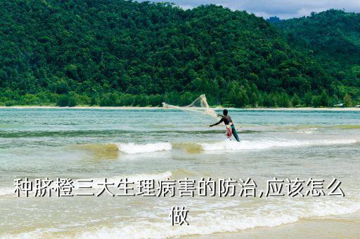 種臍橙三大生理病害的防治,應該怎么做