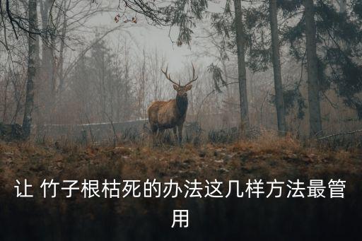 什么農藥可以讓竹子枯萎,殺除竹子用什么農藥