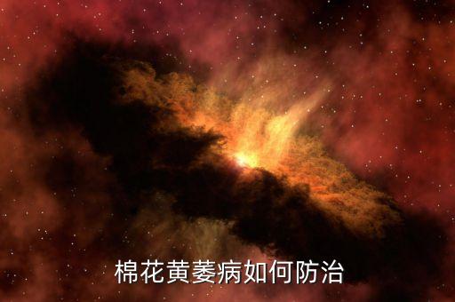 棉花枯萎用什么農藥,什么菌引起棉花枯萎病