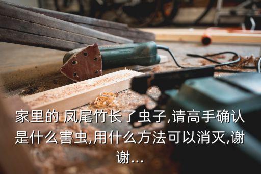 鳳尾竹用什么農藥