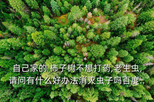 什么辦法去除柿子的澀,柿子用什么洗去除農藥