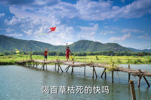 喝百草枯死的快嗎