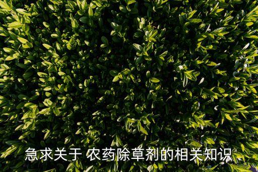 綠色農(nóng)藥社會價值是什么,大蒜上綠色的農(nóng)藥是什么