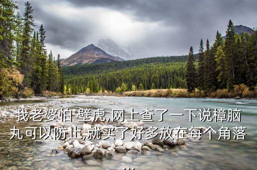 我老婆怕 壁虎,網上查了一下說樟腦丸可以防止,就買了好多放在每個角落...