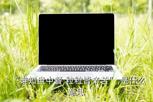 “誰知盤中餐,粒粒皆辛苦”,是什么意思